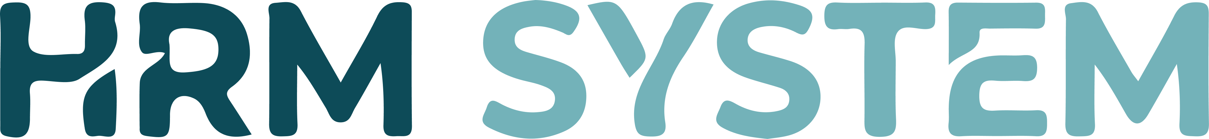 HRM System